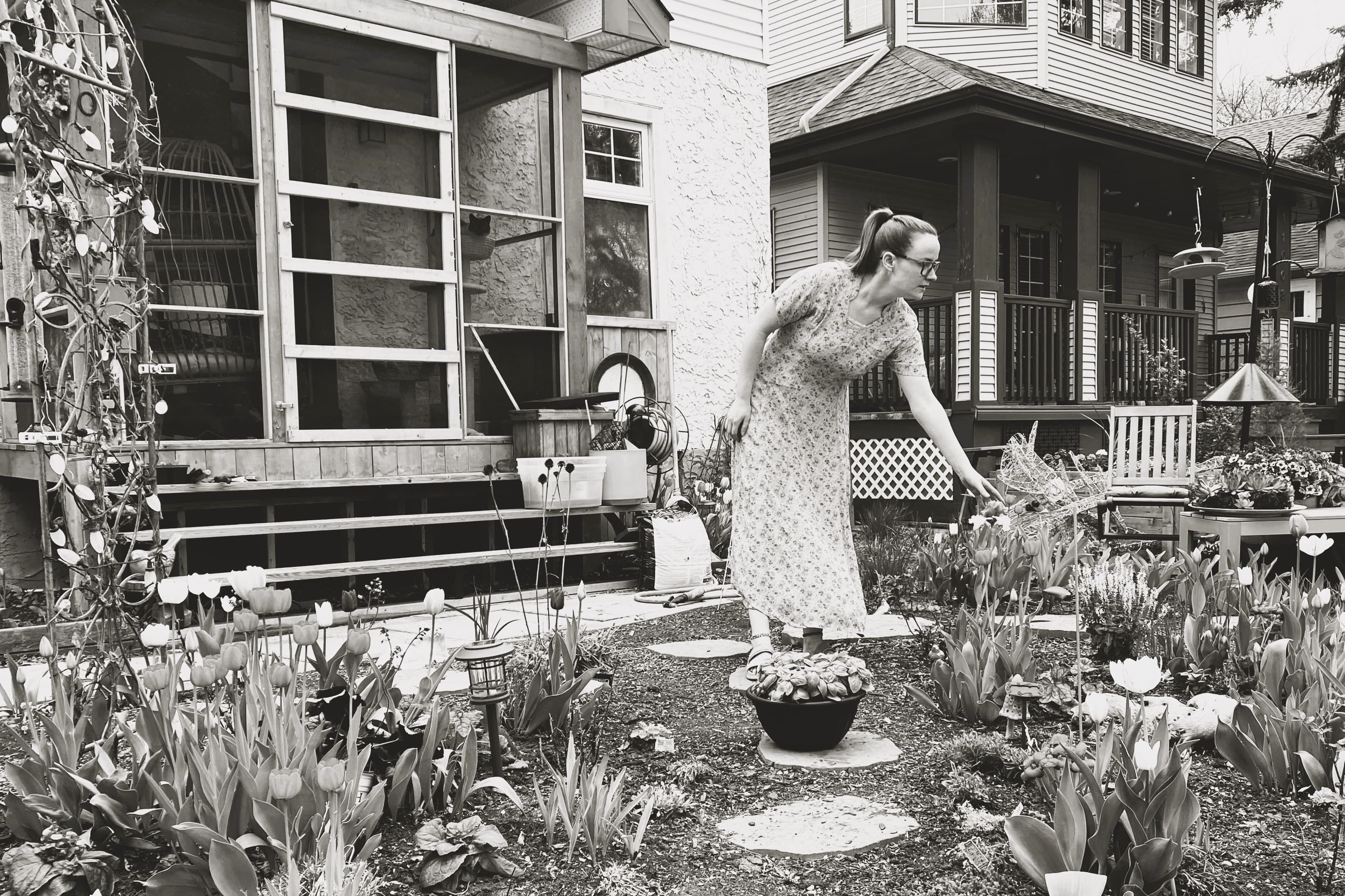 A Tulip Lover in Edmonton