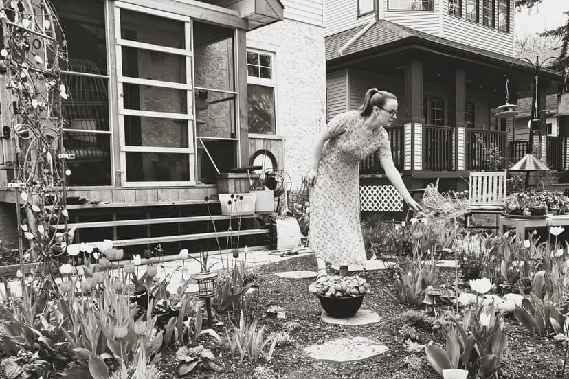 A Tulip Lover in Edmonton