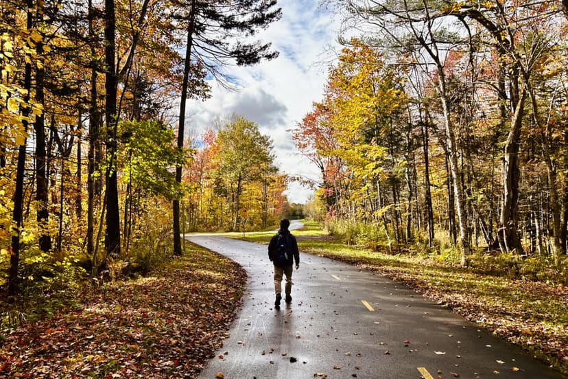 Autumn Walk